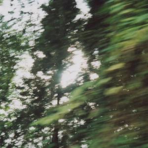 Listen to fine without me (Explicit) song with lyrics from Xyvnn