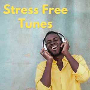 Various Artists的專輯Stress Free Tunes (Explicit)