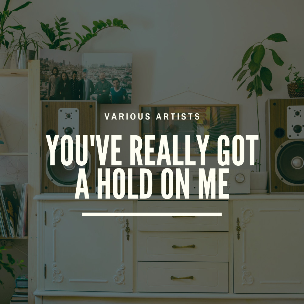 You've Really Got a Hold On Me