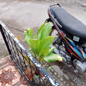 Album Kering oleh Keya