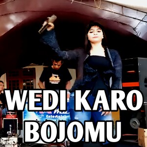 Listen to WEDI KARO BOJOMU song with lyrics from Tatik