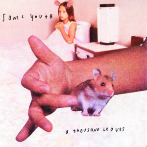 อัลบัม A Thousand Leaves ศิลปิน Sonic Youth