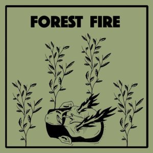 Wintersleep的專輯Forest Fire