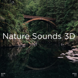 收听Nature Sounds的Sleep Music Relax歌词歌曲