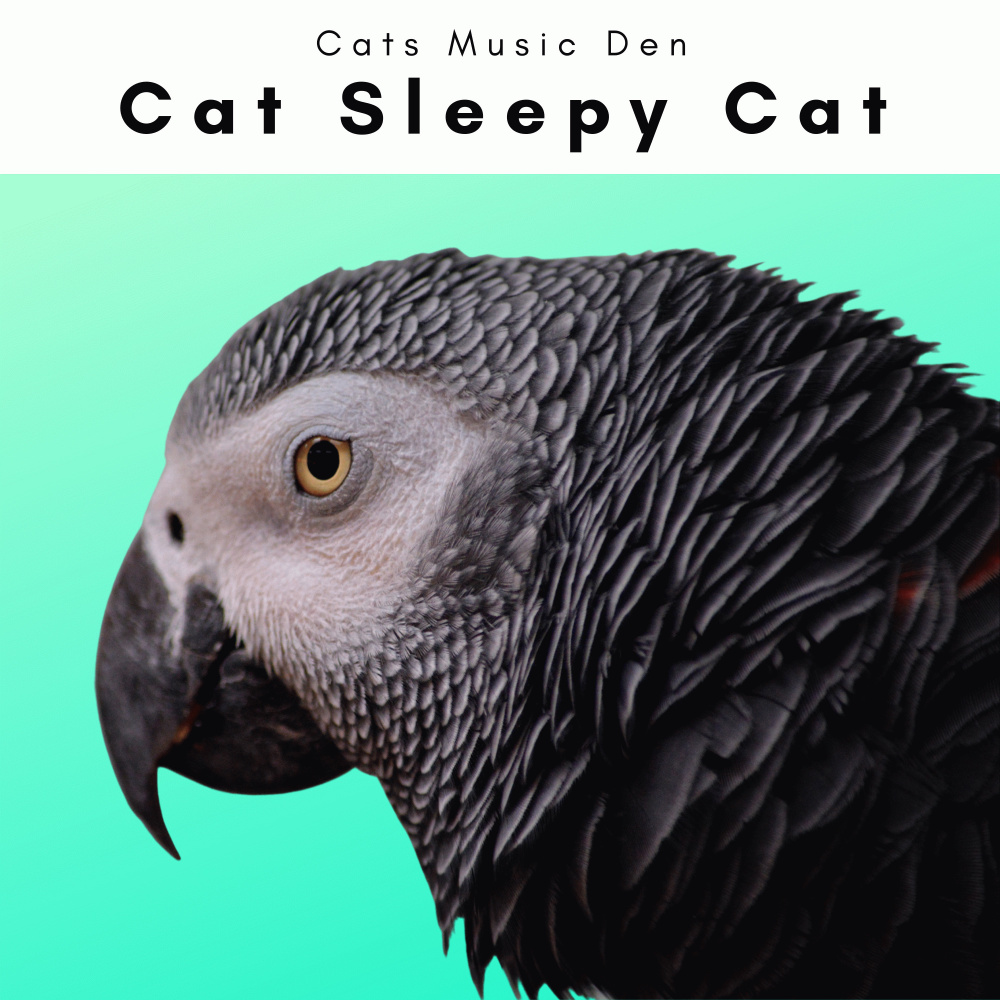 Gentle Cat Music for Instant Relax