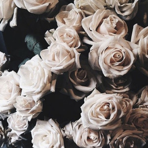 Listen to Roses song with lyrics from UC Brigante