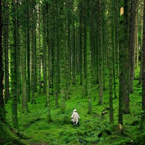 Album Pipes of the Otherworld from Luciano Miller