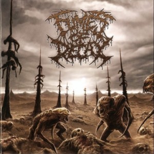 ดาวน์โหลดและฟังเพลง Sadistic Butchery (Explicit) พร้อมเนื้อเพลงจาก Fumes of Decay