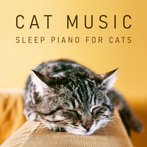 收聽貴族音樂ASMR的帕海貝爾: 卡農 (貓呼嚕聲) (貓呼嚕聲)歌詞歌曲