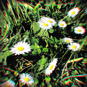 收聽White China的Like Flowers歌詞歌曲