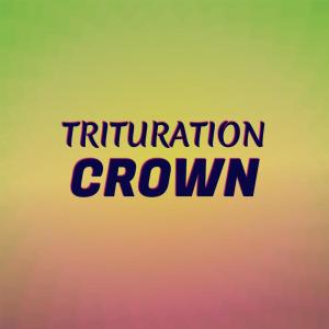 Dengarkan lagu Cat Cleanse nyanyian Jaylee dengan lirik