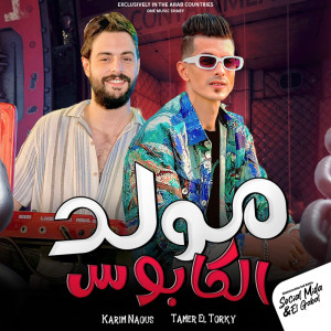Listen to مولد الكابوس song with lyrics from Tamer Eltorky