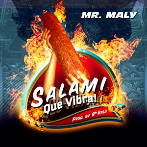 Listen to Salami Que Vibra song with lyrics from Mr. Maly