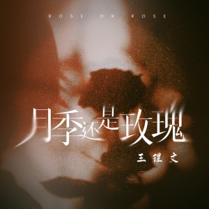 Listen to 月季还是玫瑰 song with lyrics from 王理文