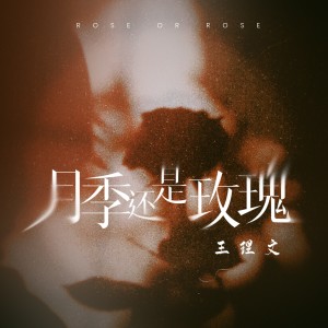 收聽王理文的月季還是玫瑰歌詞歌曲