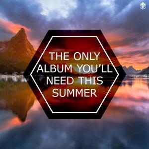 Album The Only Album You'll Need This Summer from 
