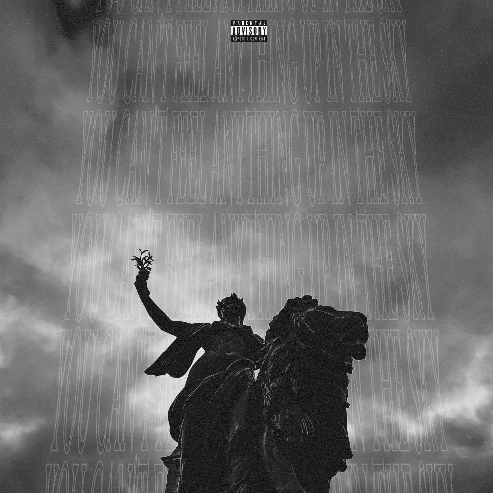 YOU CAN'T FEEL ANYTHING UP IN THE SKY (Explicit)