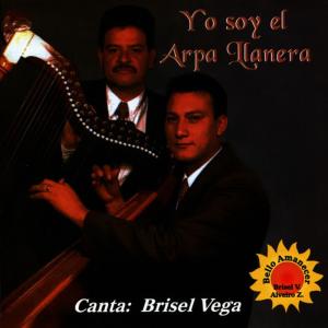 收聽Alveíro Zamudío的Mi Meta Trazada(Pasaje)歌詞歌曲