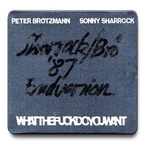 ดาวน์โหลดและฟังเพลง Whatthef**kdoyouwant 1 พร้อมเนื้อเพลงจาก Peter Brotzmann