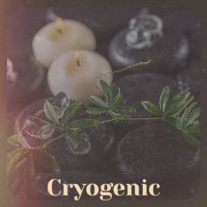 Listen to Cryogenic song with lyrics from Kayo Tema