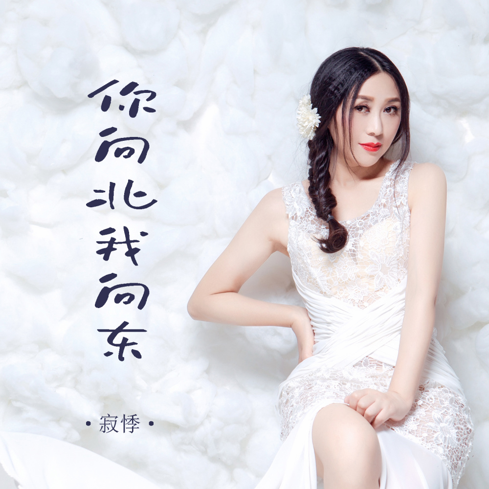 你向北我向东 (伴奏)