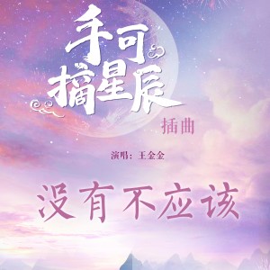 Album 没有不应该 from 王金金