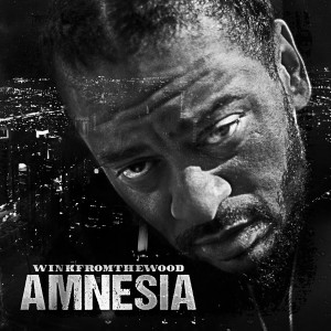 Album Amnesia (Explicit) from WINKFROMTHEWOOD