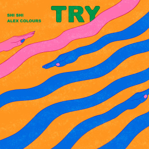 Album Try oleh 孙盛希