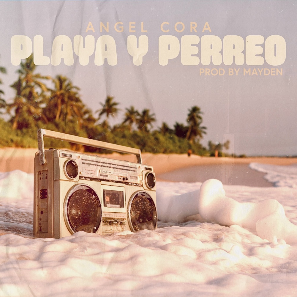 Playa y Perreo
