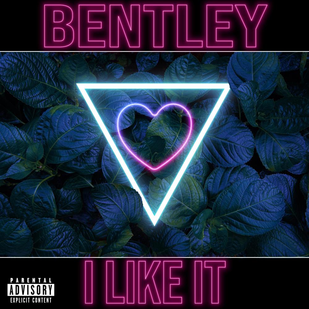 I Like It (Explicit)