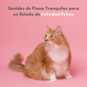 Vibraciones de jazz de Nueva York的專輯Sonidos De Piano Tranquilos Para Un Estado De Felicidad Felina