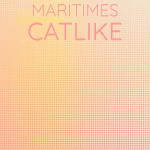 Various Artists的專輯Maritimes Catlike