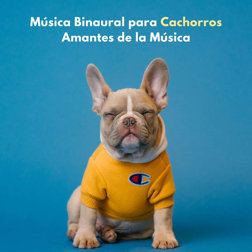 Sinfonía Ritmo Canino