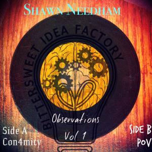 ดาวน์โหลดและฟังเพลง POV (Explicit) พร้อมเนื้อเพลงจาก Shawn Needham