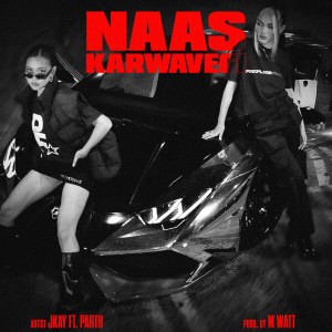 Album Naas Karwavegi from 