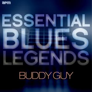 ดาวน์โหลดและฟังเพลง Stone Crazy พร้อมเนื้อเพลงจาก Buddy Guy