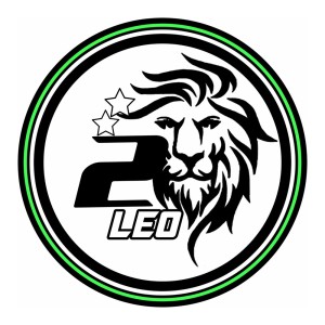 Listen to Orang Yang Salah song with lyrics from 2LEO