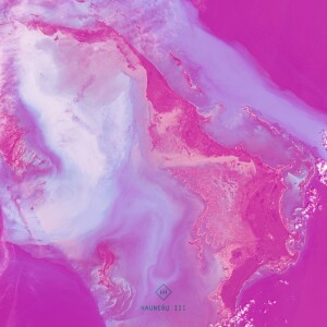 收聽Quadrumana的The Watzmann Jungle (Fernekk & Dan Rubell Remix)歌詞歌曲