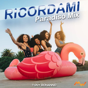 Listen to Ricordami / Paradiso Mix (Remix Version) song with lyrics from Tony Bonanno
