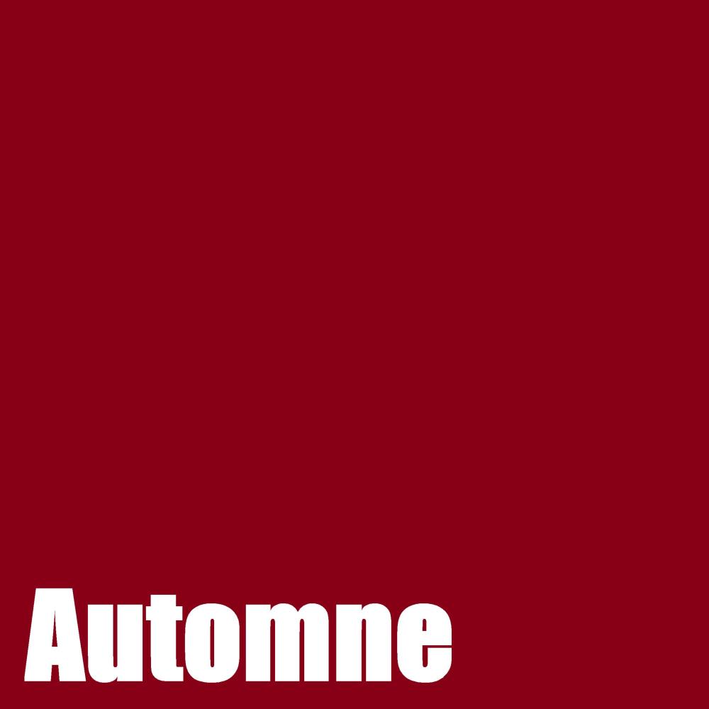 Automne 5