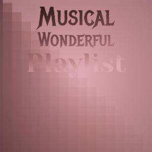 Musical Wonderful Playlist dari Various Artists