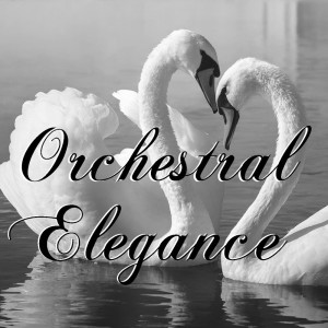 Album Orchestral Elegance from Glorious Symphony Orchestra