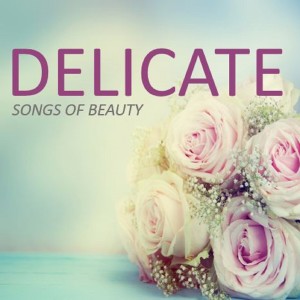 ดาวน์โหลดและฟังเพลง You Raise Me Up (Delicate Mix) พร้อมเนื้อเพลงจาก Ceilean