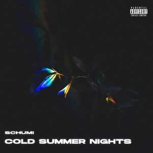 Listen to Cold Summer Nights song with lyrics from Schumi