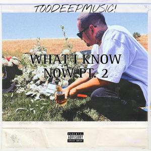 TOODEEPMUSIC!的專輯WHAT I KNOW NOW, Pt. 2