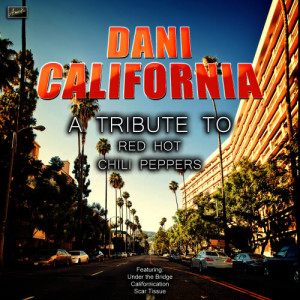 收聽Ameritz Tribute Tracks的Dani California歌詞歌曲