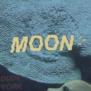 Album Moon from Dude York