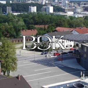 Listen to Das ist BGK (Explicit) song with lyrics from KARA25
