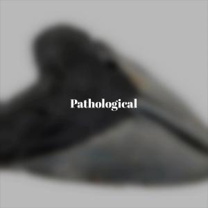 Various的专辑Pathological