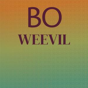 Silvia Natiello-Spiller的专辑Bo Weevil